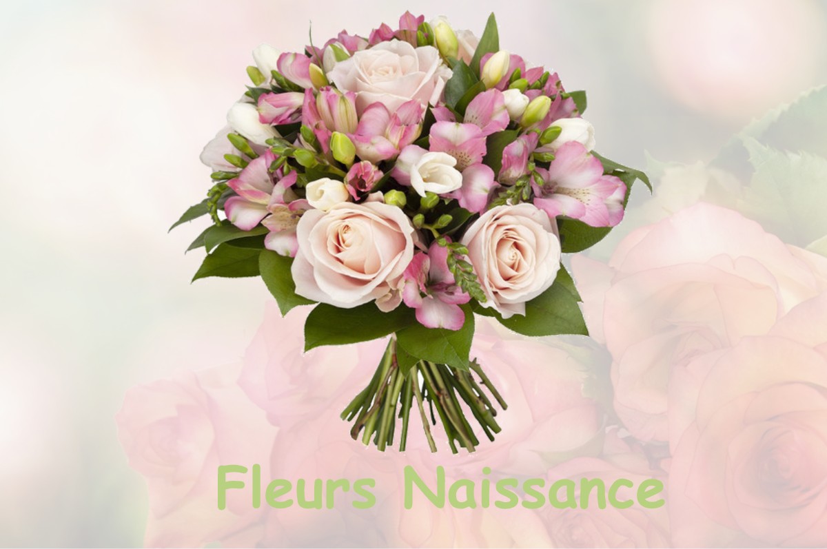 fleurs naissance SAINT-MAURICE-DE-SATONNAY